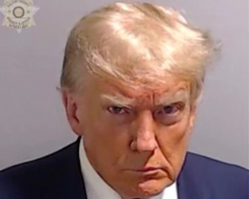 Fotografia judiciara a lui Donald Trump FOTO AFP jpg