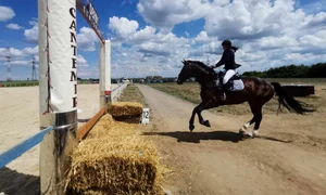 Competie ecvestră la Baza Cantemir de la Timisoara FOTO Ștefan Both