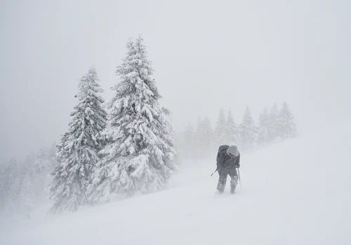 viscol munte zapada shutterstock 1930359878 jpg