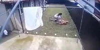 electrocutat bihoreanul Foto Bihoreanul jpg