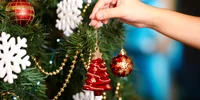 decorare pom de craciun brad shutterstock 161696162 jpg