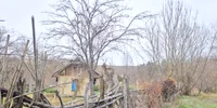 taietura7 jpg