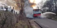 autobuz alba 1, captură video jpg
