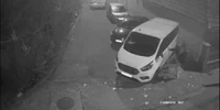 imagini vandal alba iulia, captură video jpg