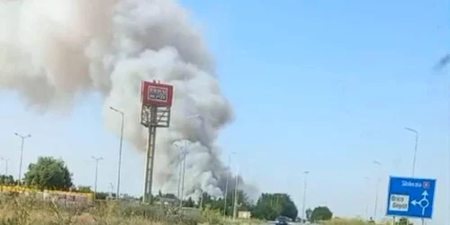 Incendiu vegetatie Călărași Foto Facebook Meteoplus jpeg