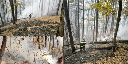 Incendiu de pădure in Hunedoara Foto ISU hunedoara jpg