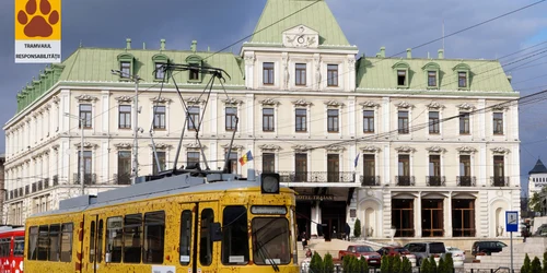 tramvai iasi proprietari animale 05 foto Tramclub Iasi jpg