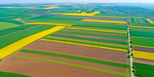 Terenuri agricole ale României Foto Adevărul jpg