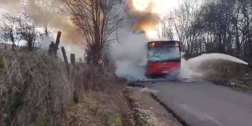 autobuz alba 1, captură video jpg