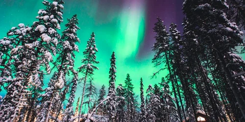 Aurora Boreală în Laponia Foto Eturia