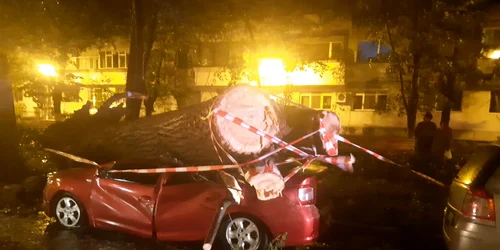 Copac căzut peste o mașină in Galați Foto Radio Galați facebook jpg
