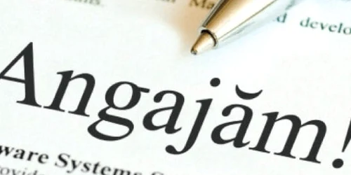 angajari curriculum vitae