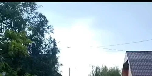 WhatsApp Video 2024 09 14 at 17 46 56 mp4 thumbnail png