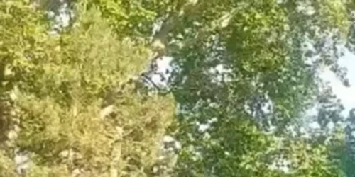 WhatsApp Video 2024 05 29 at 09 38 02 (1) mp4 thumbnail png